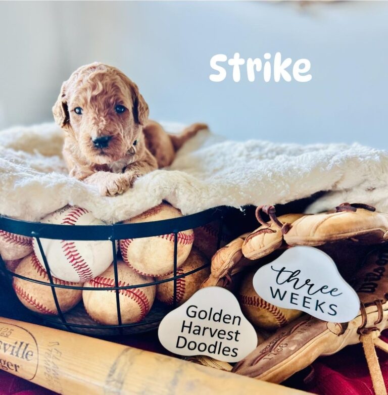 strike-07